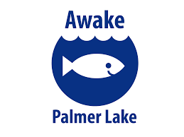Awake Palmer Lake